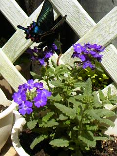 120428_1242~01.jpg